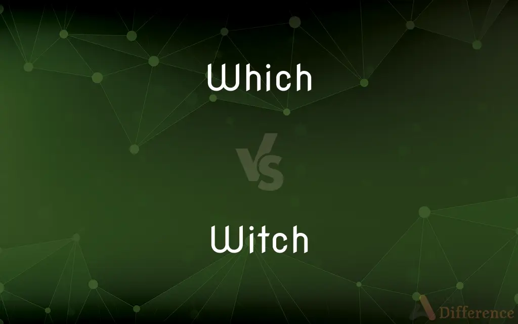 Which vs. Witch — What's the Difference?