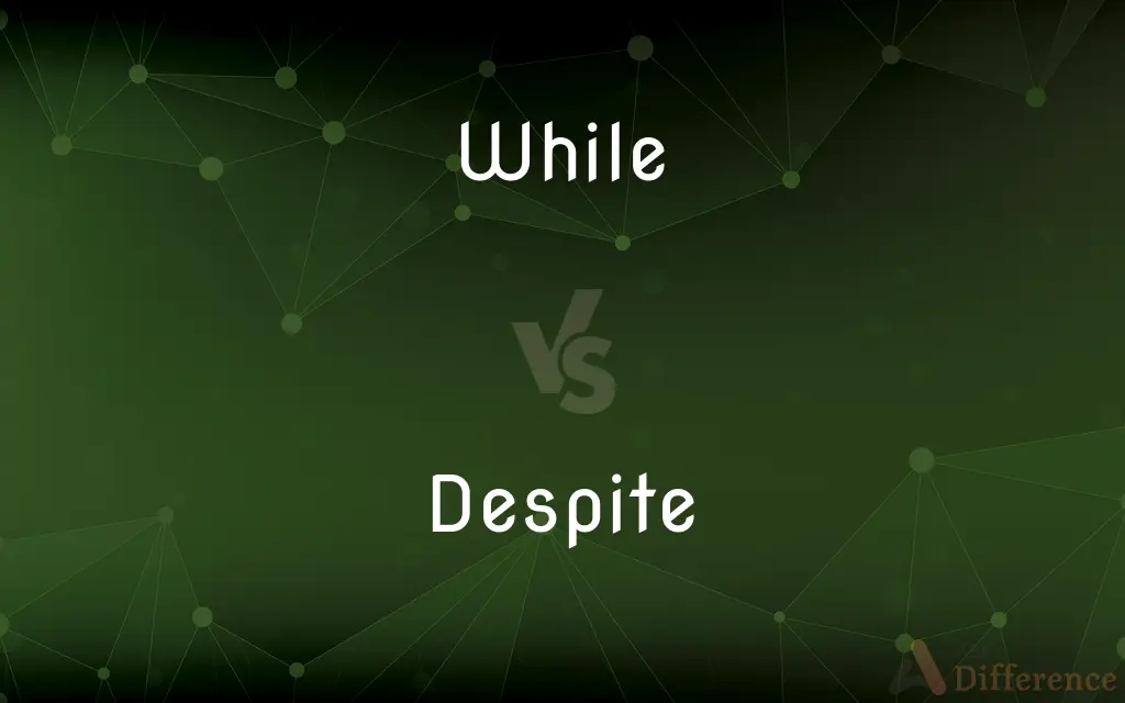 While vs. Despite — What's the Difference?