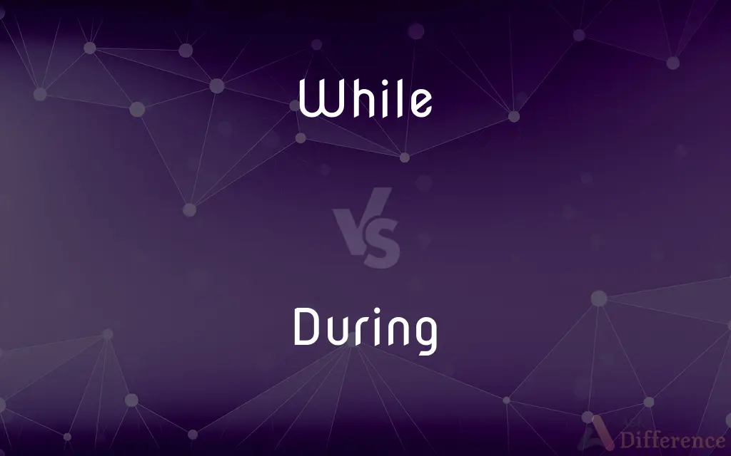 While vs. During — What's the Difference?
