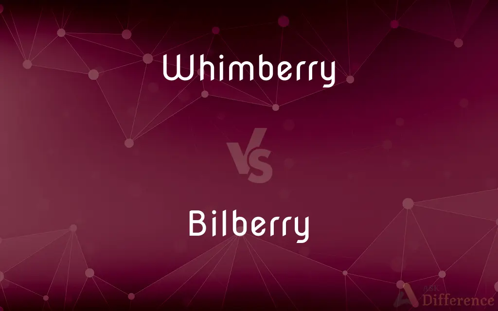 Whimberry vs. Bilberry — What's the Difference?