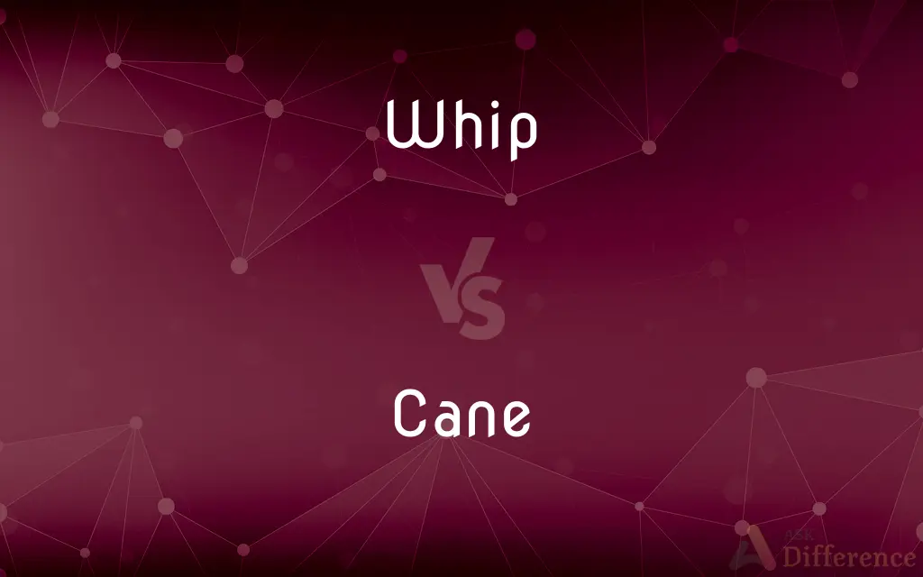 Whip vs. Cane — What's the Difference?