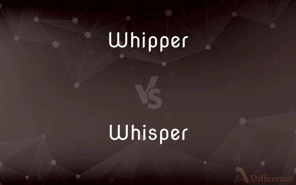 Whipper vs. Whisper — What's the Difference?