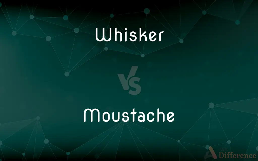 Whisker vs. Moustache — What's the Difference?