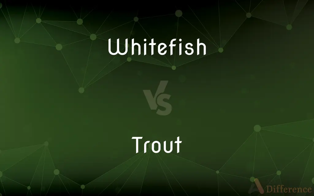 Whitefish vs. Trout — What's the Difference?