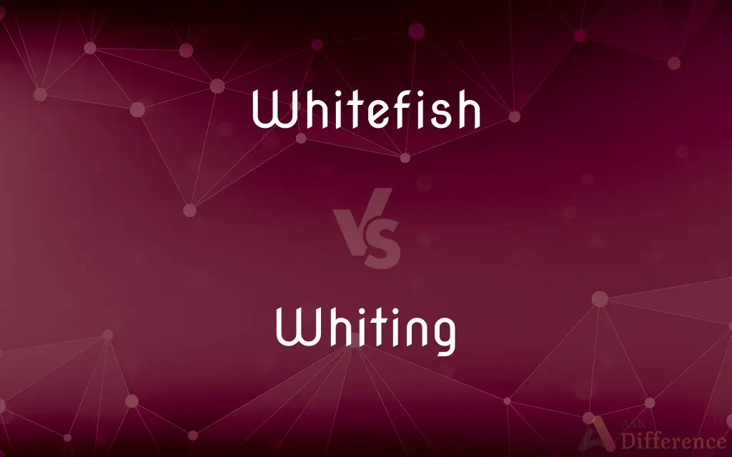 Whitefish vs. Whiting — What's the Difference?