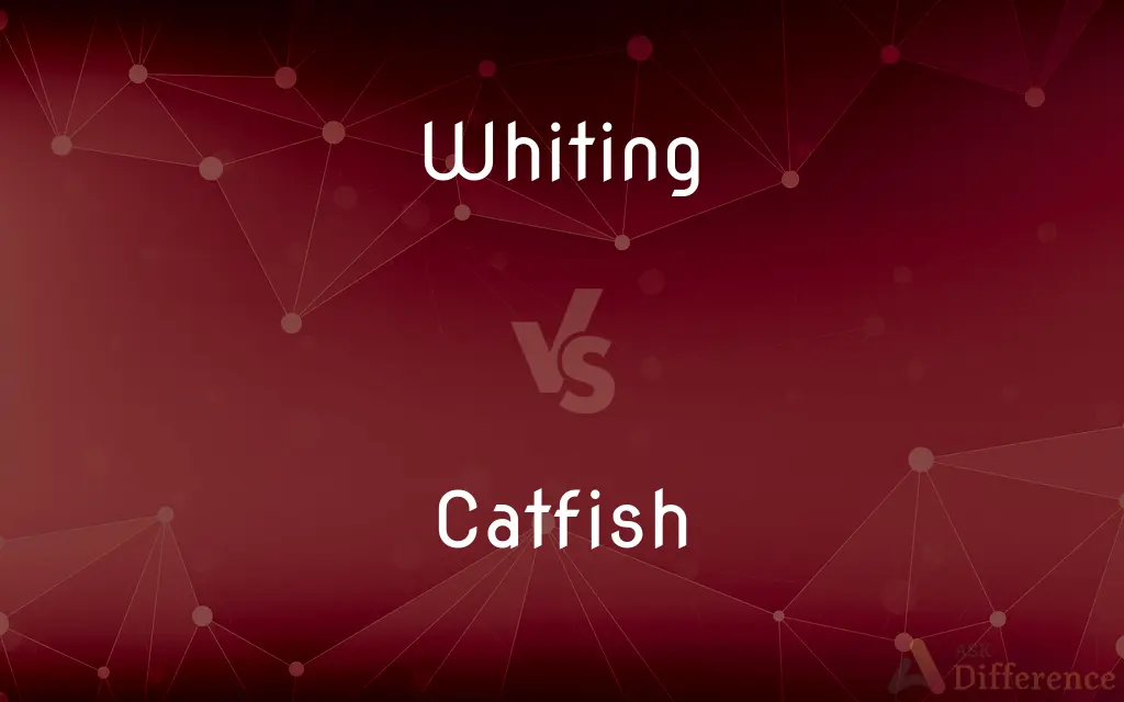 Whiting vs. Catfish — What's the Difference?