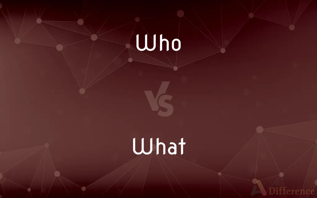Who vs. What — What's the Difference?