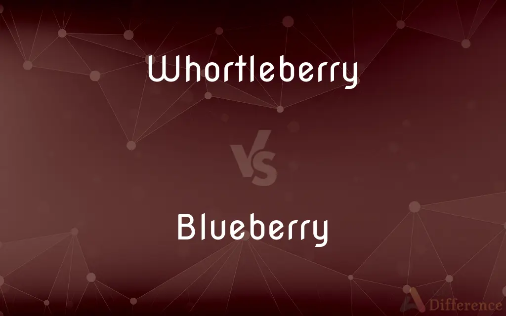 Whortleberry vs. Blueberry — What's the Difference?