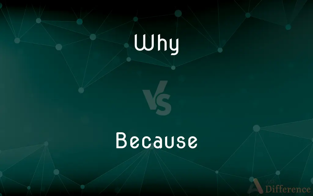 Why vs. Because — What's the Difference?