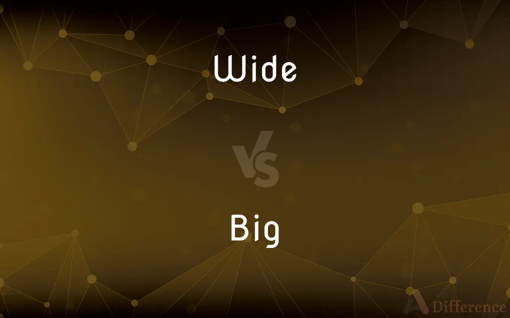 Wide vs. Big — What's the Difference?