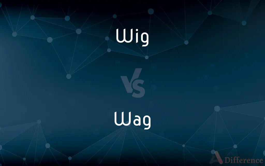 Wig vs. Wag — What's the Difference?
