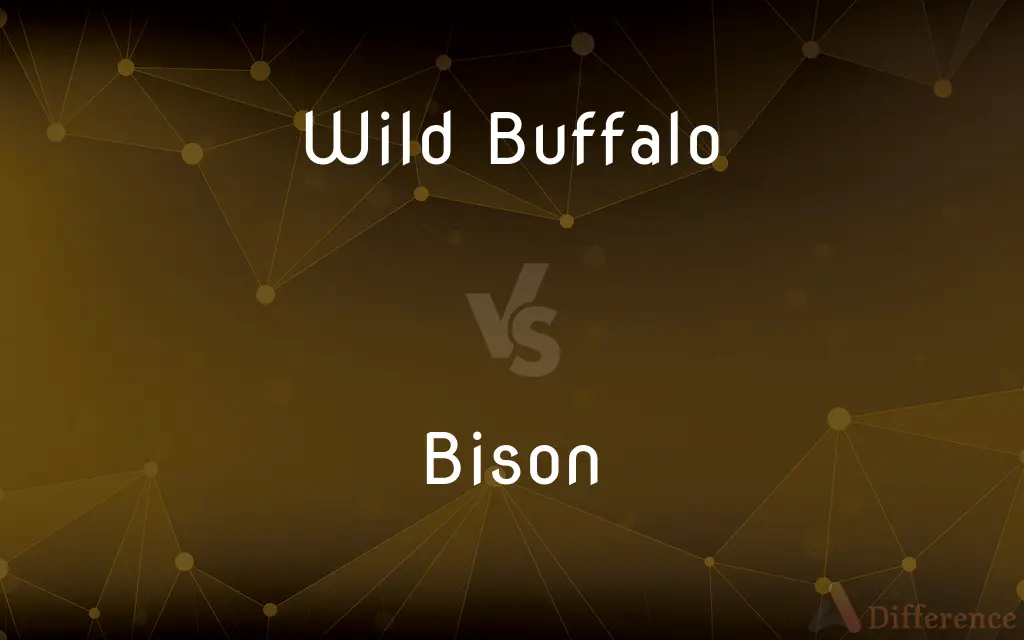 Wild Buffalo vs. Bison — What's the Difference?