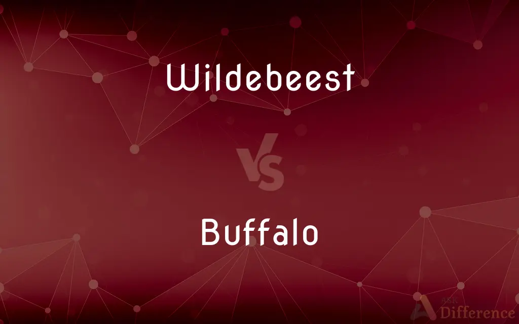 Wildebeest vs. Buffalo — What's the Difference?