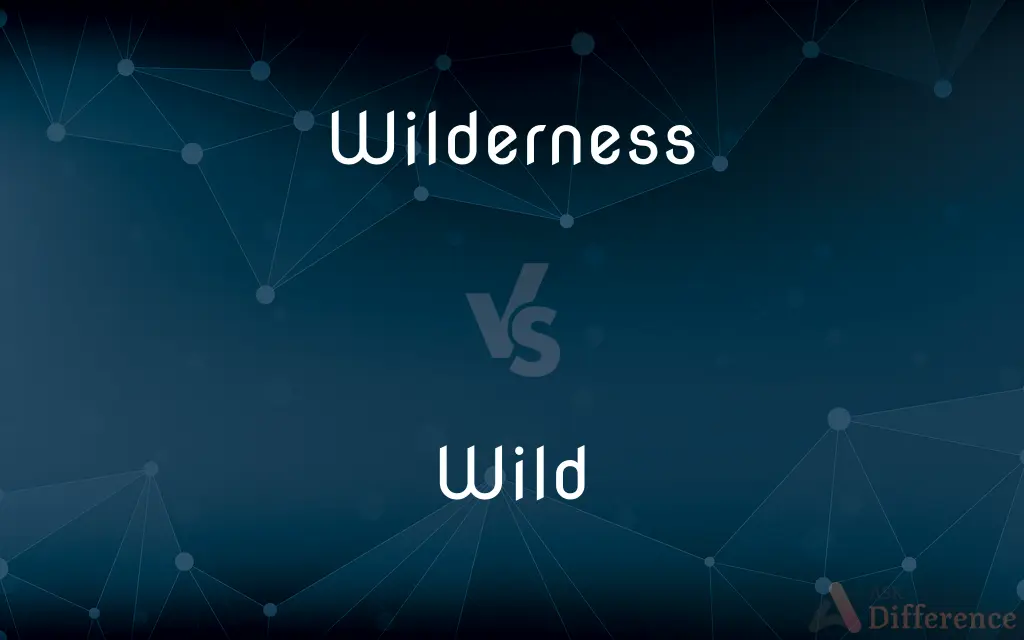 Wilderness vs. Wild — What's the Difference?
