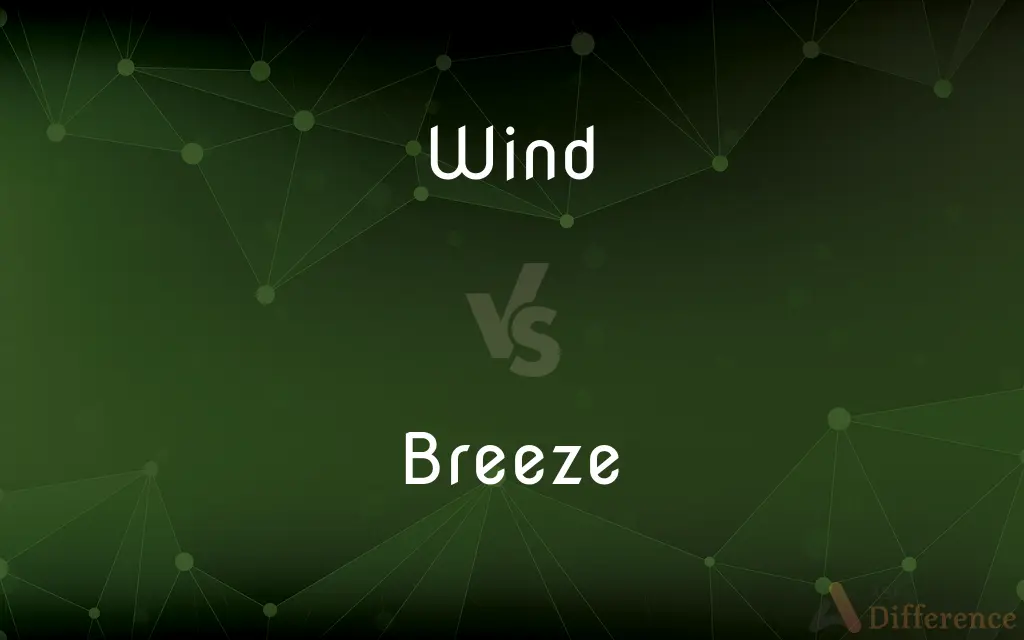 Wind vs. Breeze — What's the Difference?
