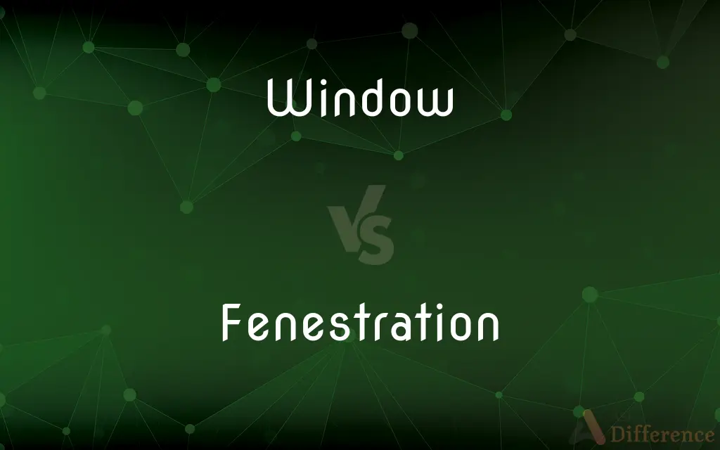 Window vs. Fenestration — What's the Difference?