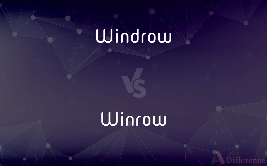 Windrow vs. Winrow — Which is Correct Spelling?