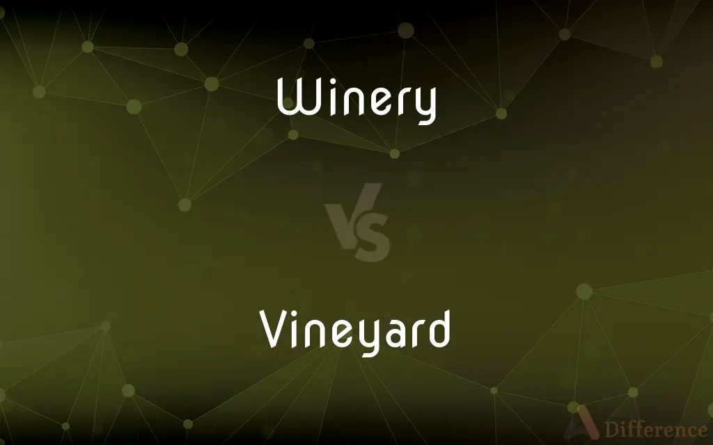 Winery vs. Vineyard — What's the Difference?