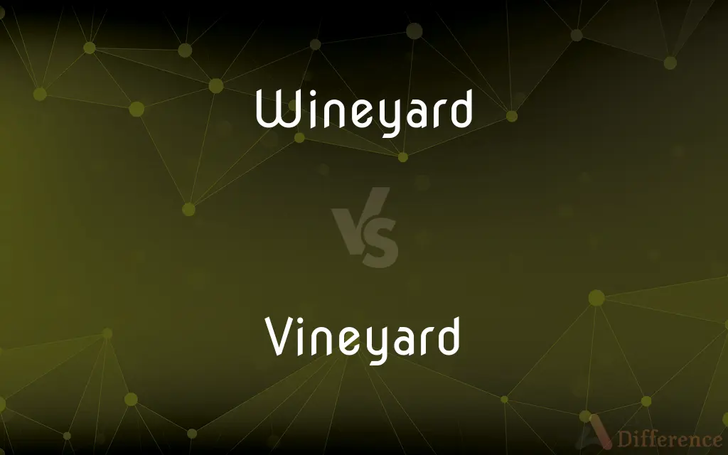 Wineyard vs. Vineyard — Which is Correct Spelling?