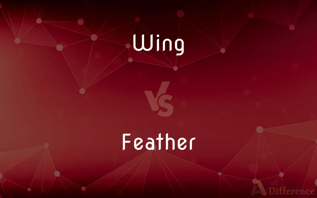 Wing vs. Feather — What's the Difference?