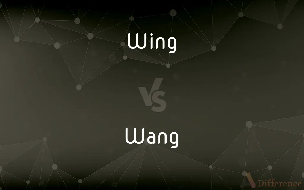 Wing vs. Wang — What's the Difference?