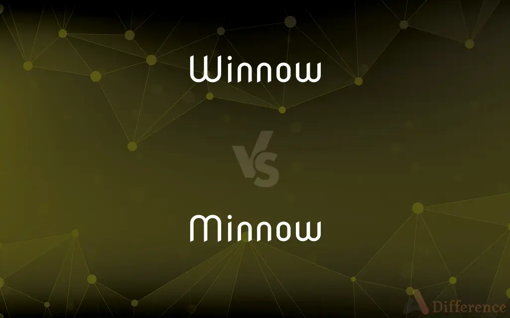 Winnow vs. Minnow — What's the Difference?