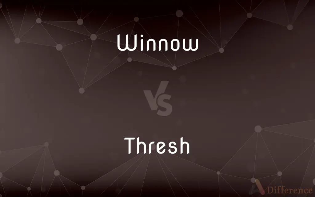 Winnow vs. Thresh — What's the Difference?