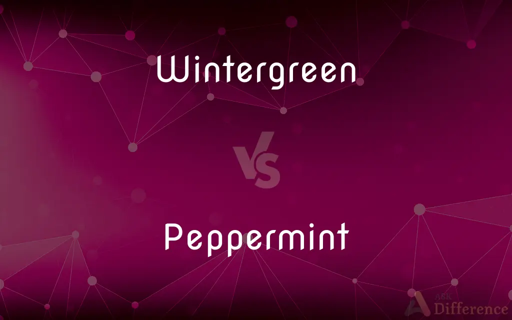 Wintergreen vs. Peppermint — What's the Difference?