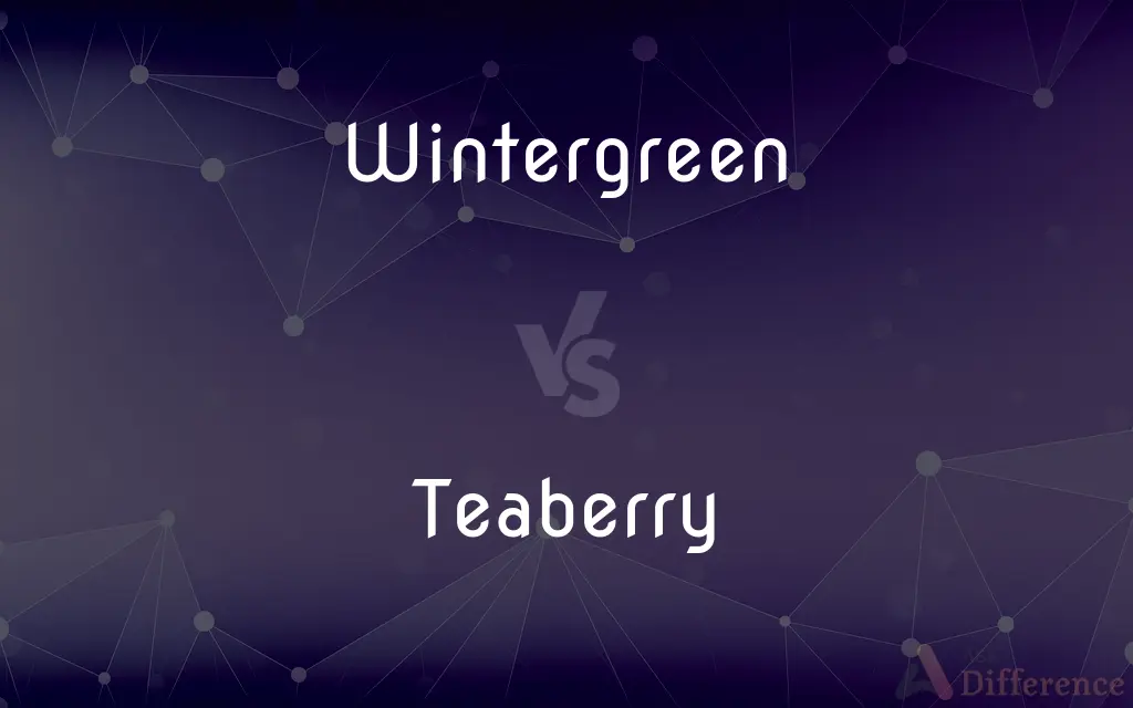 Wintergreen vs. Teaberry — What's the Difference?