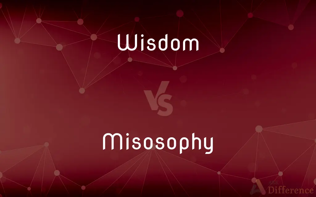 Wisdom vs. Misosophy — What's the Difference?