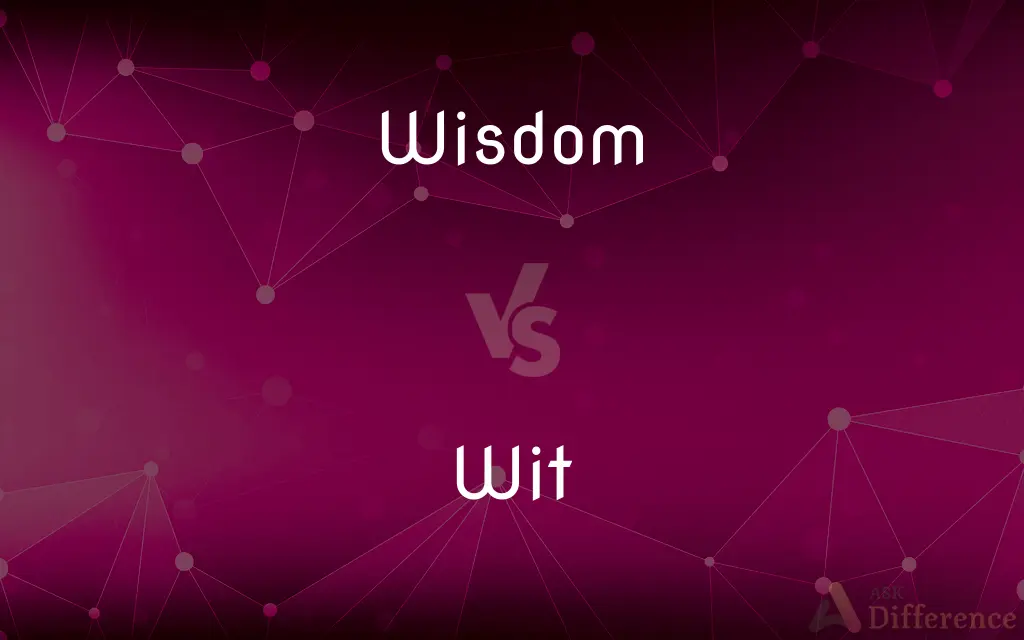 Wisdom vs. Wit — What's the Difference?
