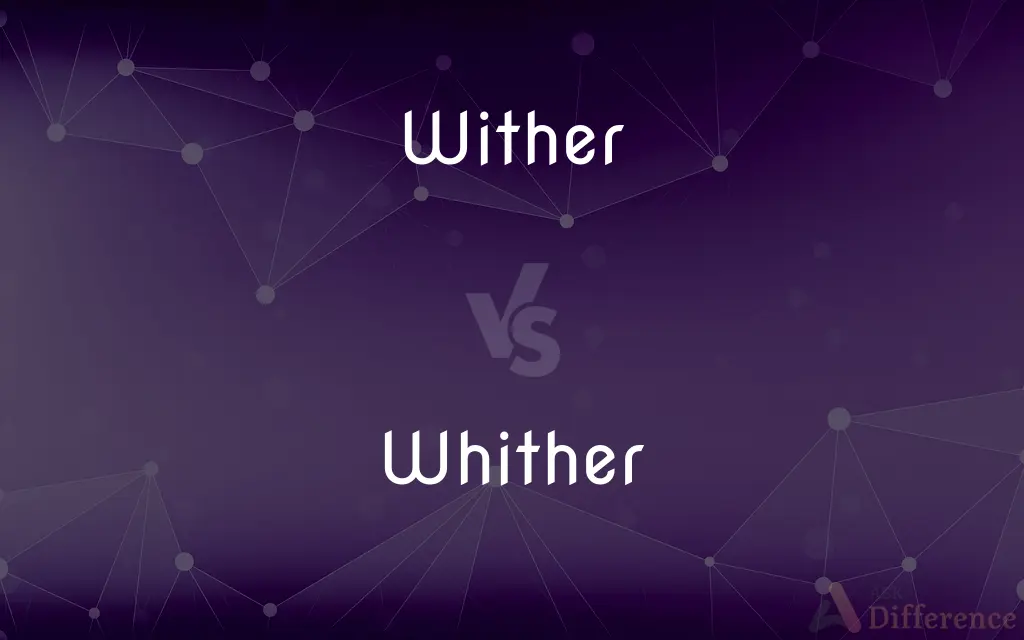 Wither vs. Whither — What's the Difference?