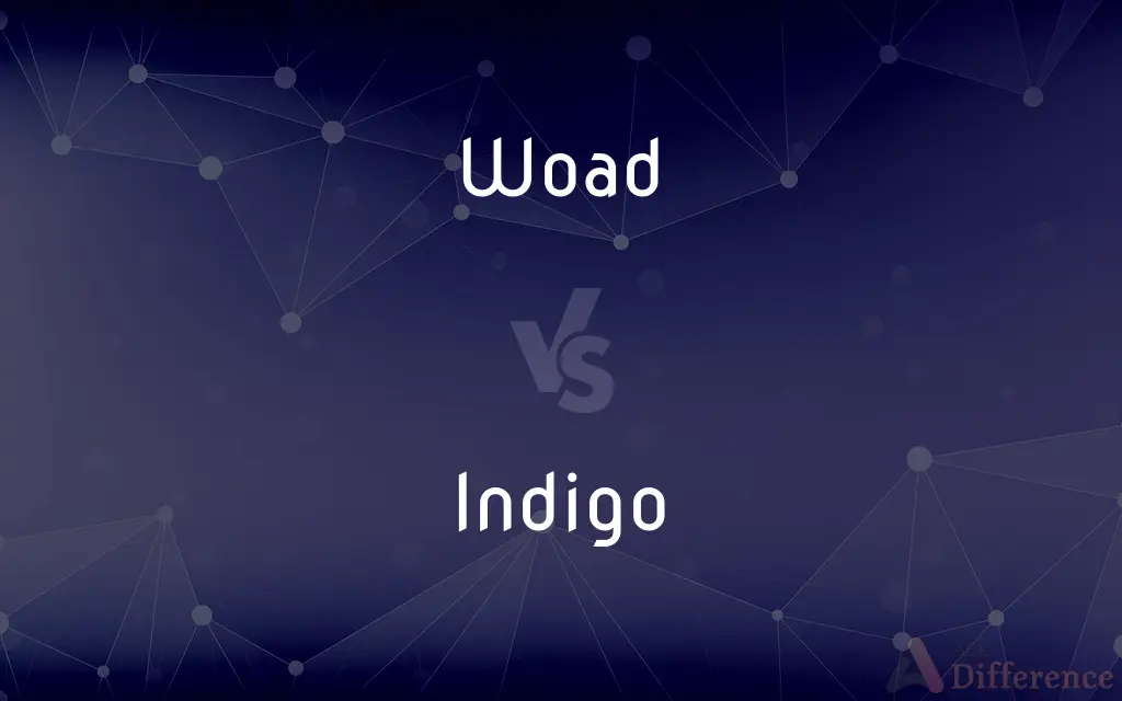 Woad vs. Indigo — What's the Difference?
