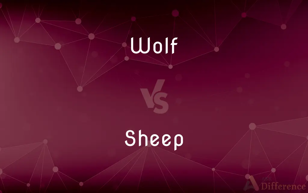Wolf vs. Sheep — What's the Difference?
