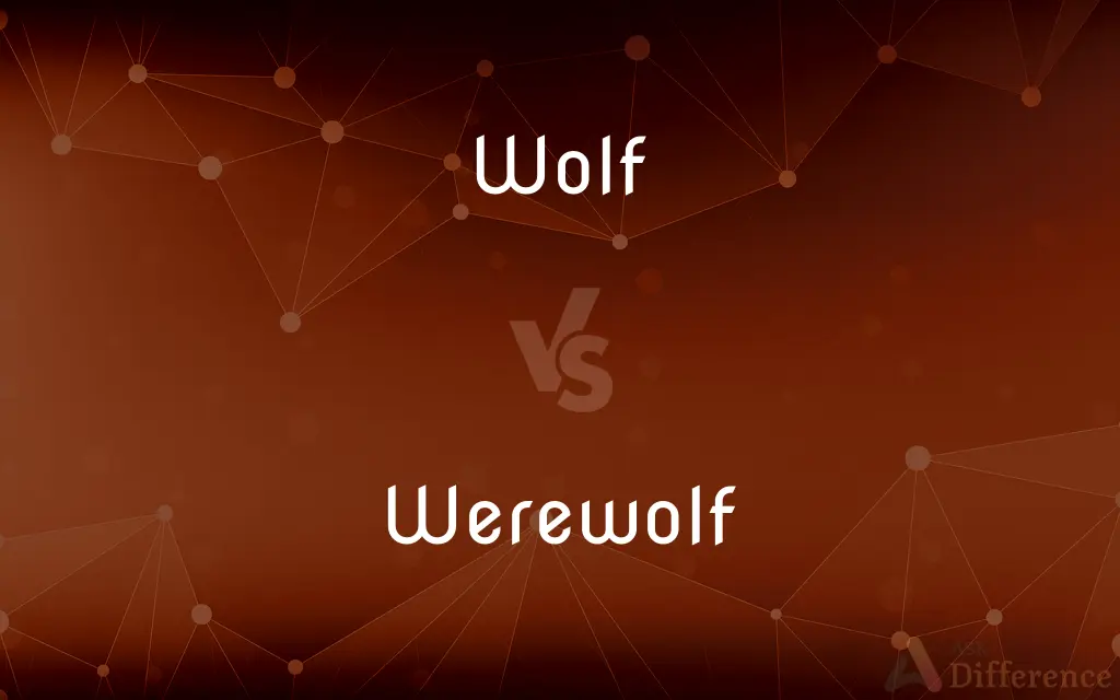 Wolf vs. Werewolf — What's the Difference?