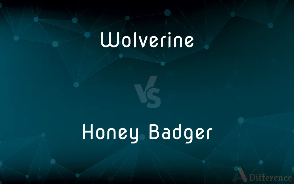 Wolverine vs. Honey Badger — What's the Difference?