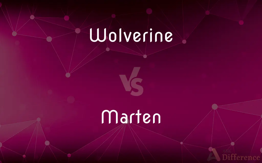 Wolverine vs. Marten — What's the Difference?