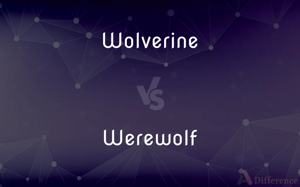 Wolverine vs. Werewolf — What's the Difference?