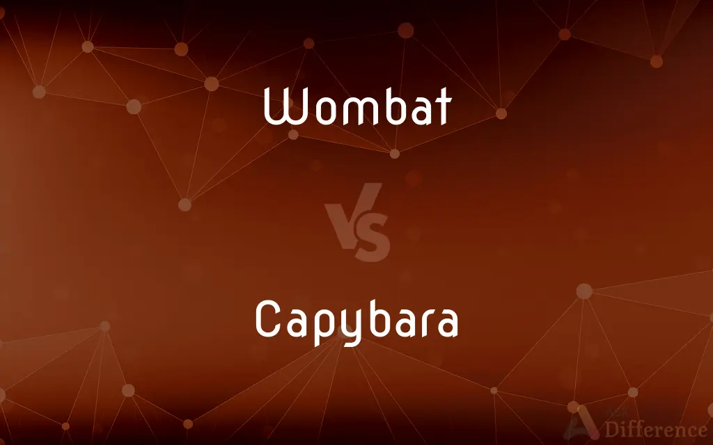Wombat vs. Capybara — What's the Difference?