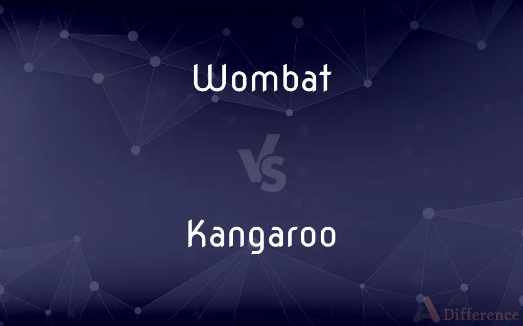 Wombat vs. Kangaroo — What's the Difference?
