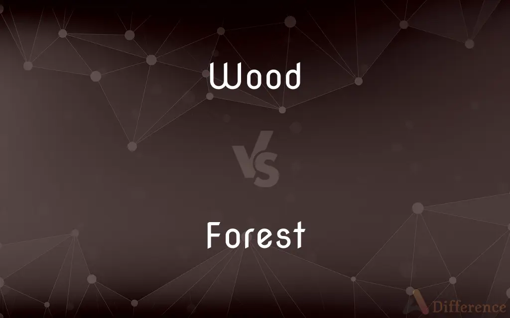 Wood vs. Forest — What's the Difference?