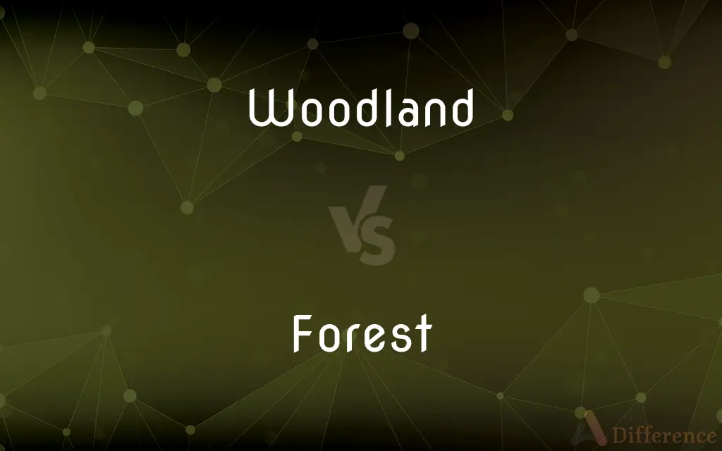 Woodland vs. Forest — What's the Difference?