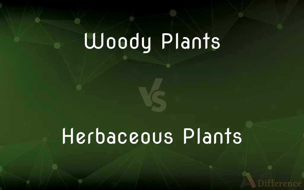 Woody Plants vs. Herbaceous Plants — What's the Difference?