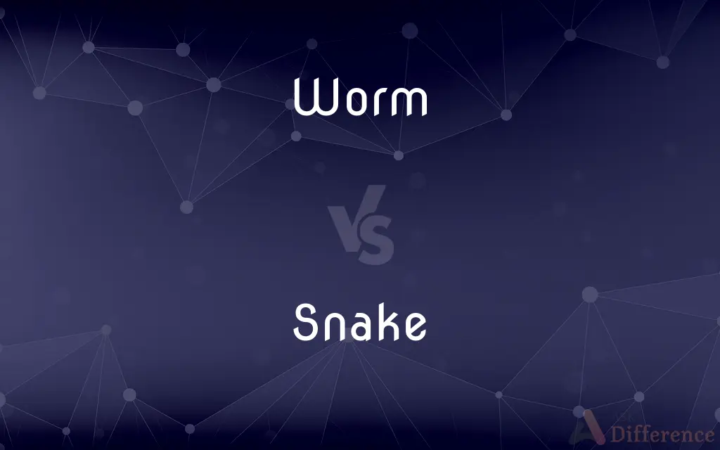 Worm vs. Snake — What's the Difference?