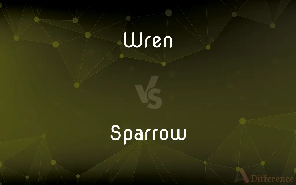 Wren vs. Sparrow — What's the Difference?