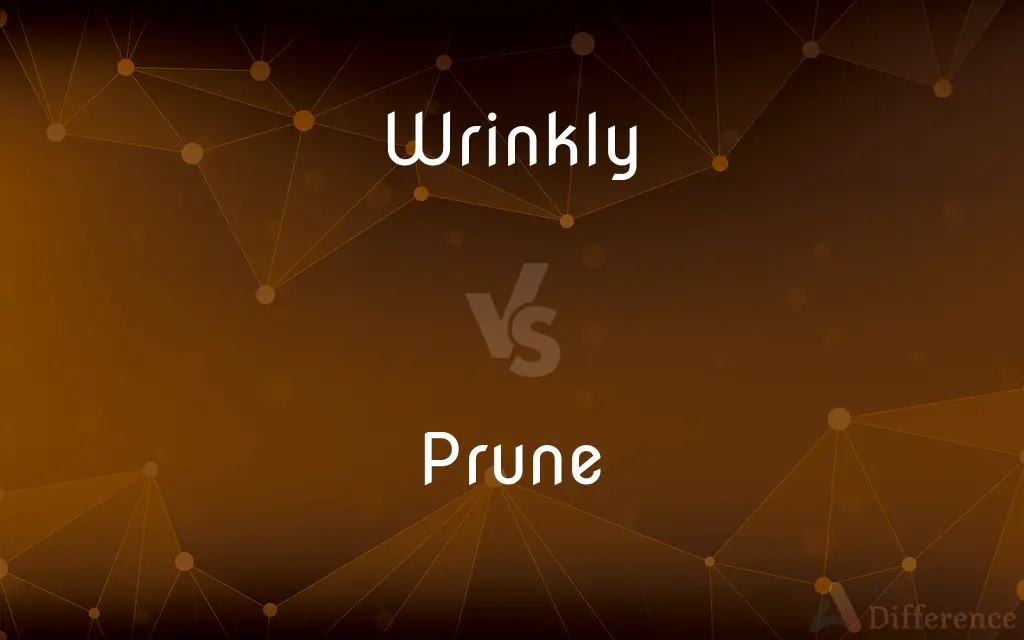 Wrinkly vs. Prune — What's the Difference?