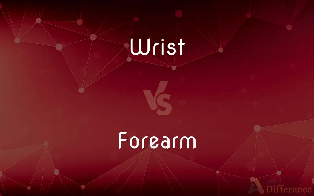 Wrist vs. Forearm — What's the Difference?