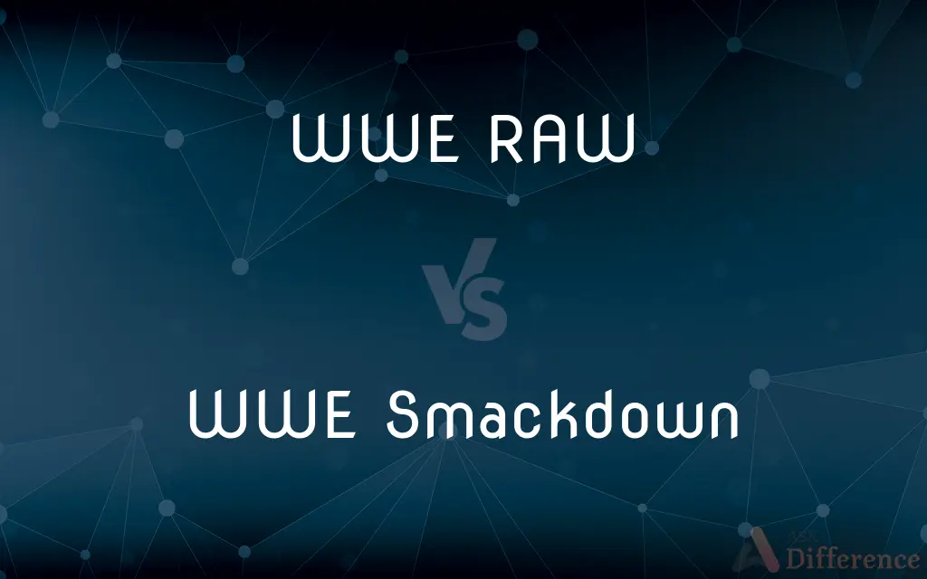 WWE RAW vs. WWE Smackdown — What's the Difference?