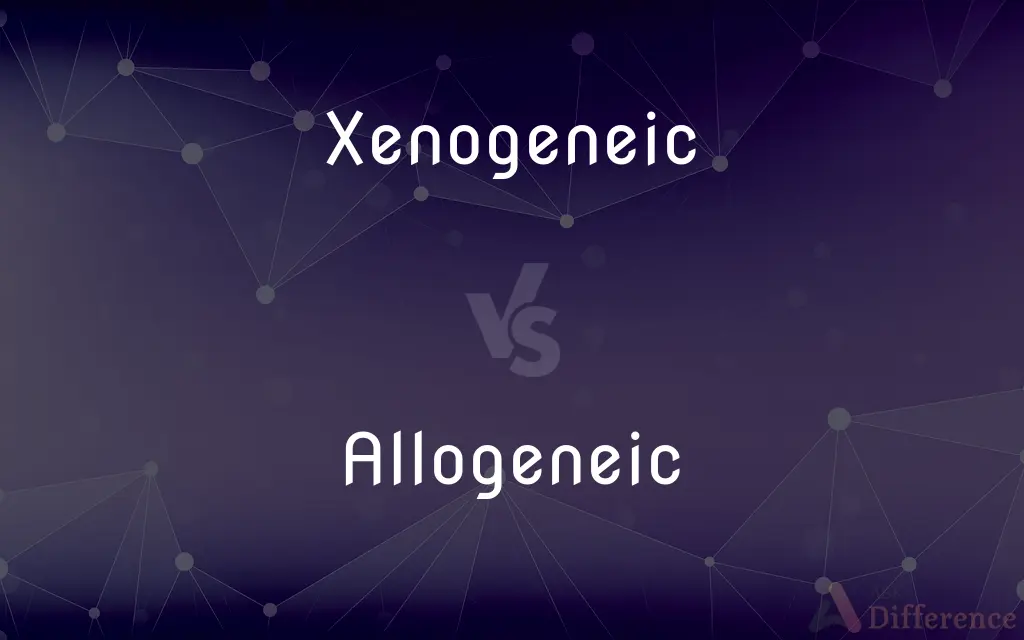 Xenogeneic vs. Allogeneic — What's the Difference?