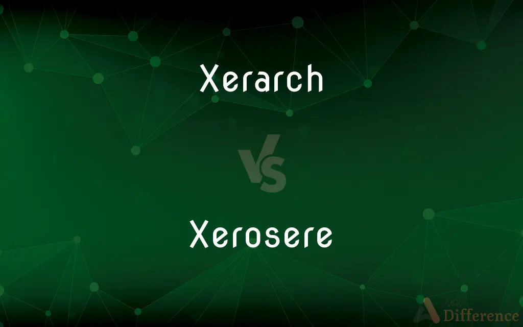 Xerarch vs. Xerosere — What's the Difference?